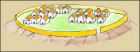 Organización Social
